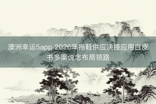 澳洲幸运5app 2026年拖鞋供应决接应用白皮书多渠说念布局领路
