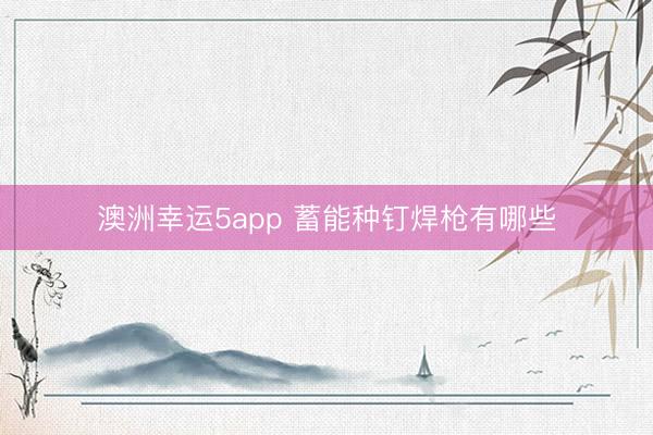 澳洲幸运5app 蓄能种钉焊枪有哪些