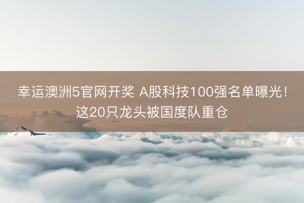 幸运澳洲5官网开奖 A股科技100强名单曝光!这20只龙头被国度队重仓