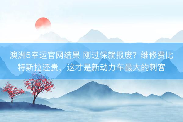 澳洲5幸运官网结果 刚过保就报废？维修费比特斯拉还贵，这才是新动力车最大的刺客